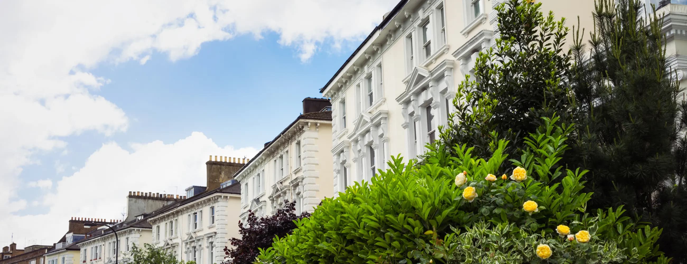 A terrace of white stucco villas with heavy window dressings, behind garden shrubs and roses