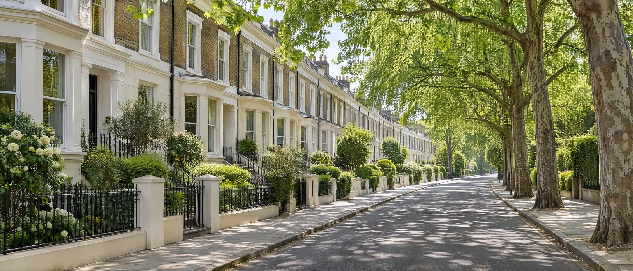 A leafy north west London street of stucco and brick terraces under mature plane trees